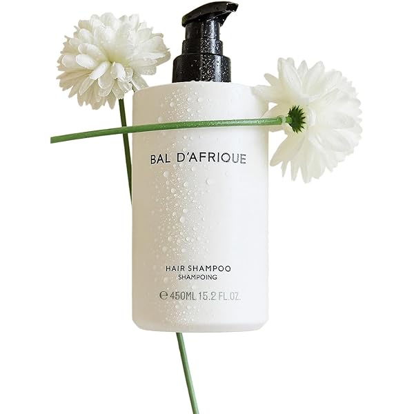 Amazon.com : The Luxury Collection Le Chemin - Shampoo